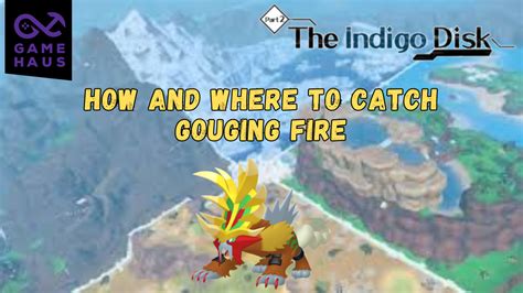 How To Find (& Catch) Gouging Fire (Pokémon。